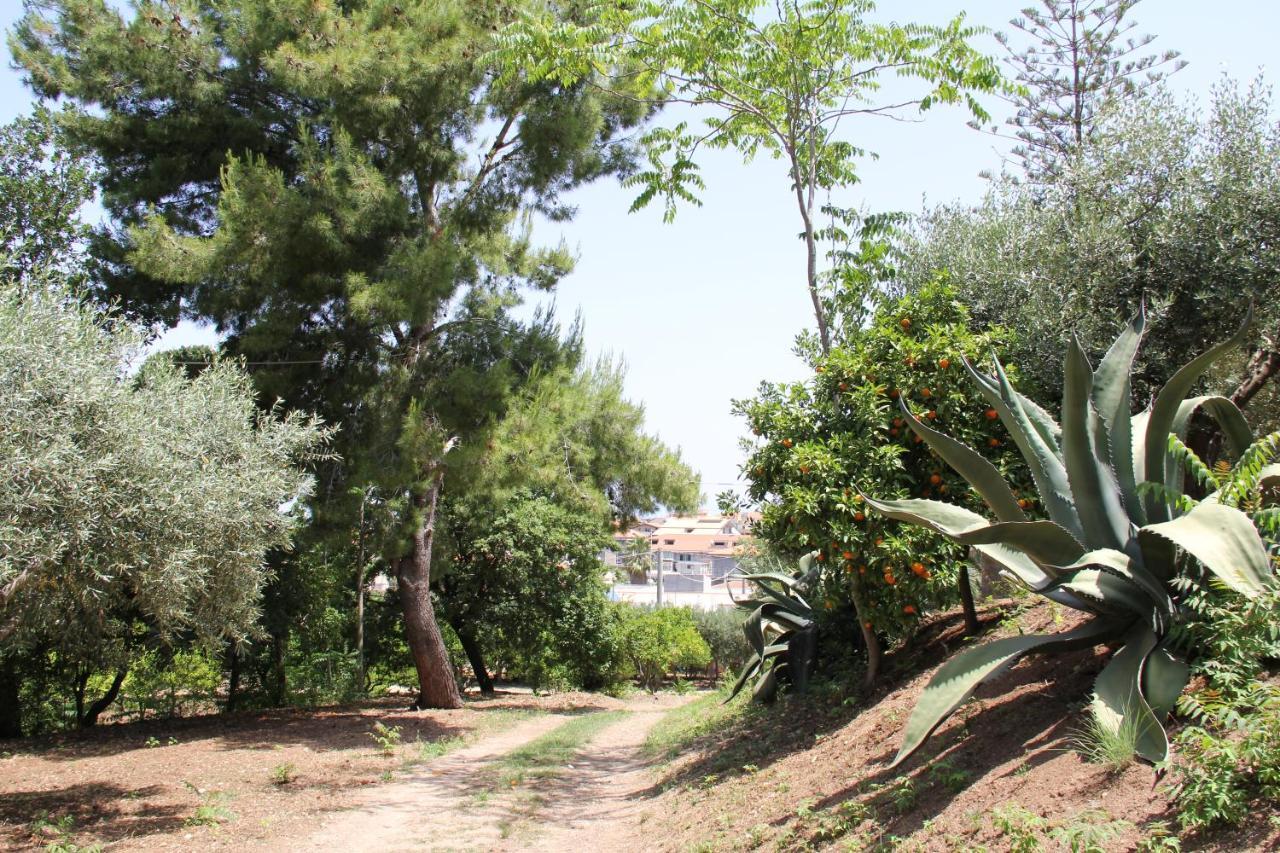 Tenuta Conte Ruggero Santa Domenica  Buitenkant foto